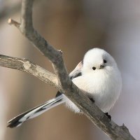 ππ°π₯ππ¦ππ (@godrel_d) 's Twitter Profile