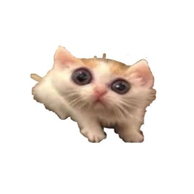 gleekussy's profile picture. toxic, bad, funny, pretty | she/they