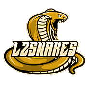 🏀 | @nba2k Streamer
✉️ | l2snakes.ttv@gmail.com
🏆 | TOP 61 EU NBA2K Player