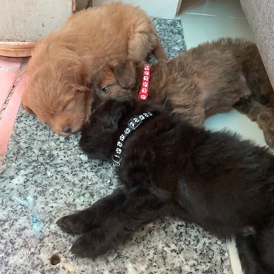 nhan10012022's profile picture. 