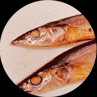 秋刀魚(@SNM_Lv100) 's Twitter Profile Photo