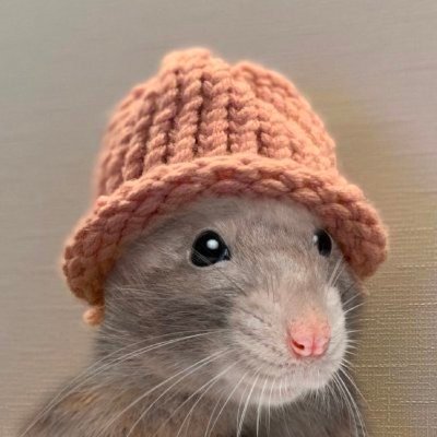 $RatWif The first and only rat on Solana 🐀🔥

This time, Rats rule the world https://t.co/skxiqnC6ai