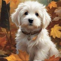 nelcar21 (@nelsonosun59198) 's Twitter Profile Photo