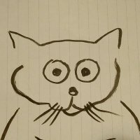 とむのとむちん 🐱 (@tomnotomchin2) 's Twitter Profile