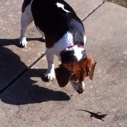 cjohnson1378's profile picture. 