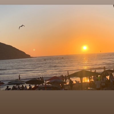 marco_garc43572's profile picture. 