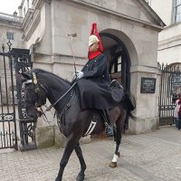 Jürgen Kepplinger es geht auswärts (@jrgenkepplinge2) Twitter profile photo