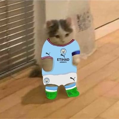 SamuelUCL's profile picture. Apaixonado por futebol🩷⚽
Torcedor do Manchester city 🩵⚽
Messi is the GOAT🐐👑
UCL🇪🇺⚽