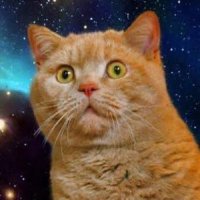 猫ひな😈💫 (@nekohina1103) 's Twitter Profile Photo