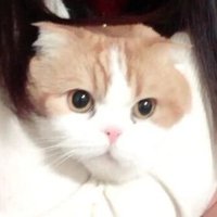λͺ¨λ¨π€π€ (@mothandago) 's Twitter Profile
