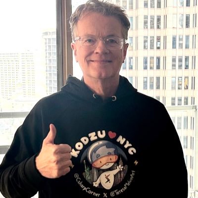 COO CSharp Platform Inc: CSharp Corner, WEB3 Universe, CSharp TV, BCrypt Conference