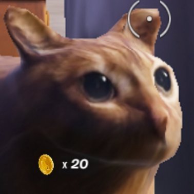 Calvintipol's profile picture. Hello there