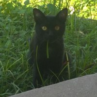 Oliver. (@m4xxi3_14) 's Twitter Profile Photo Oliver. (@m4xxi3_14) 's Twitter Profile Photo