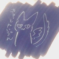 猫鴉@低浮上(@dgxi_w) 's Twitter Profile Photo