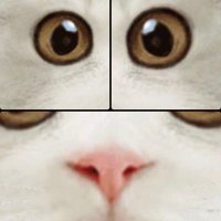 Amazon JP (アマゾンジャパン) (@amazonjp219737) Twitter profile photo