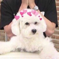 비비 (@1485iee__) 's Twitter Profile Photo 비비 (@1485iee__) 's Twitter Profile Photo