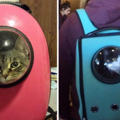 TacoManUlt41368's profile picture. 