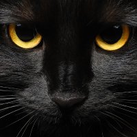 Artur Jarosz (@arjarosz) 's Twitter Profile Photo Artur Jarosz (@arjarosz) 's Twitter Profile Photo