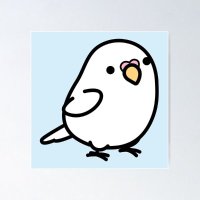 LOLO The Hawk(@lolothehawk) 's Twitter Profile Photo