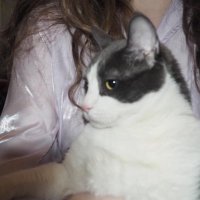 cae and 14,562 others (@caelanwhite_) 's Twitter Profile