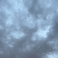 ziad (@zzf1778702) Twitter profile photo