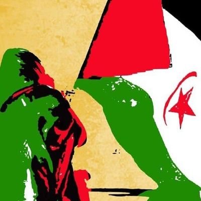 Luchadora por las causas Palestina y del Sáhara Occidental.