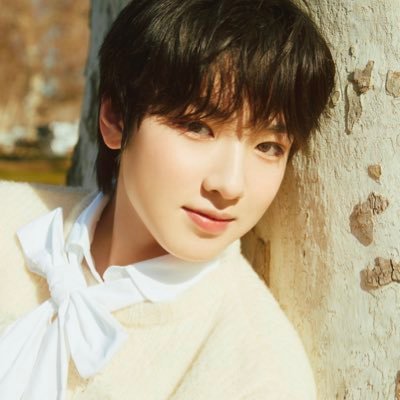 SakuyaArchives Profile Picture