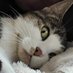 Sheila (@cglassgirl73) Twitter profile photo Sheila (@cglassgirl73) Twitter profile photo