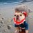 SharkDogCoin's profile image
