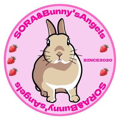 🐰ﾘﾝｸｽ のそらﾁｬﾝ♀️🎂2020.12.27  3歳
お月様組の🐰たろﾁｬﾝ達に見守られて毎日楽しく過ごしています🥰     #バニーズエンターテインメント所属

うさぎ大好きな皆さまとお友達になりたいです🐰よろしくお願い致します🙏

Instagram始めました↓ 良かったら遊びに来てくださいね❣️