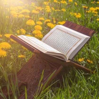 Djjavvr's profile picture. 