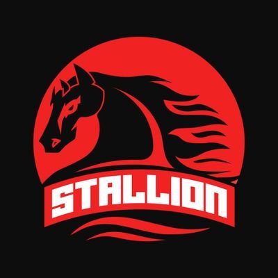 Stalllion_ Profile Picture