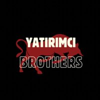 YatırımcıBrothers(@1kucukyatirim) 's Twitter Profile Photo