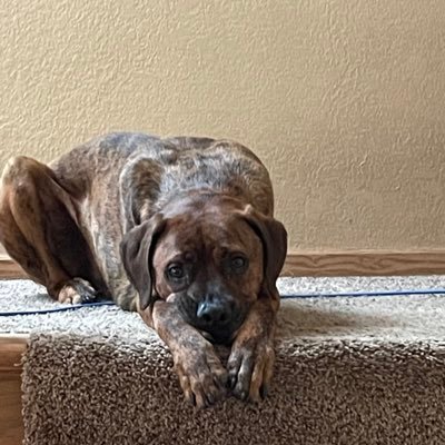 RaketichMichael's profile picture. 