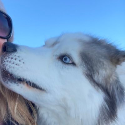 D_Rock_982's profile picture. 