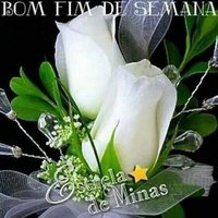 Sou filha do Rei✨🪷 (@silva69600) 's Twitter Profile