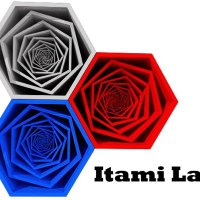 Itami Lab(@Itamilab) 's Twitter Profile Photo