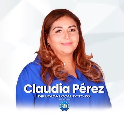 Candidata Diputada Local Dtto 20. Ex-Concejal en Alcaldía de Cuajimalpa de Morelos, CDMX. Coordinadora del observatorio humanista capitulo México en @RedHL_