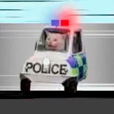 PoliceCatOnSol Profile Picture