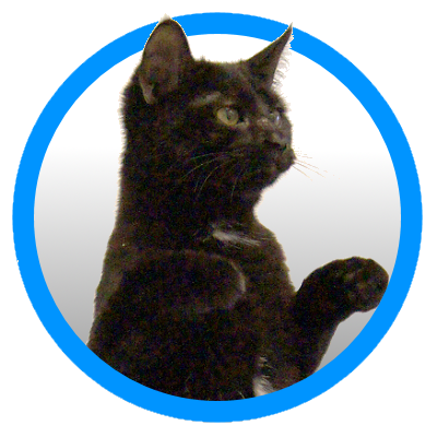 twitr2code's profile picture. pogamme