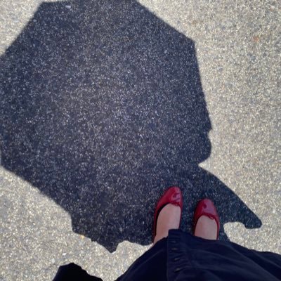 HanaUsagisan04's profile picture. 大好きなサッカー、ジュビロ磐田。ヴィッセル神戸推し。サッカーが好きすぎてあちらこちらのスタジアムやら出かけます。 遠征ついでにディズニー行ったり。 今、少しメンタルの疾患あり、なので休日はお散歩多め。人付き合い、都会の人混み、高架下の電車の音が苦手です。 日常生活のポスト多めです。