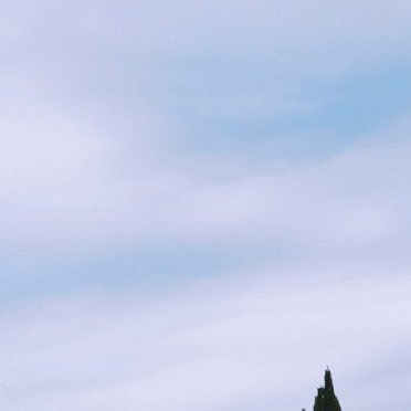 machi_kocha's profile picture. おわらい