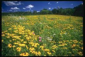 MarshallAreaTM's profile picture. The three Toastmasters clubs of Marshall, MN.  We'd love to help you be a more effective communicator and leader while having a blast on the journey.