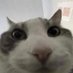 A (@slims3rbian) Twitter profile photo A (@slims3rbian) Twitter profile photo