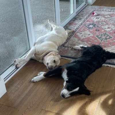 kpauly12's profile picture. Ole Miss Class of 2020  UNR Med Class of 2026.  I’m probably kidding