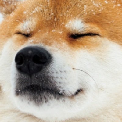 superkuroiro's profile picture. たぶん呟きません
見るだけ