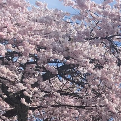 walmartkroasan's profile picture. yeah so listen I come here to relax and laugh and get angry and cry but don't actually do any work myself except for liking and retweeting hope that's okay ♥️