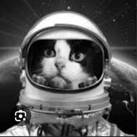 GatoArmstrong (@elgatoski) 's Twitter Profile Photo GatoArmstrong (@elgatoski) 's Twitter Profile Photo