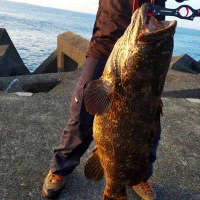 【愛媛】四国で釣りの魅力を発信していきます!拠点は愛媛ですが、高知が大好きです。「ヤエン」「かぶせ」夏は高知で大物ぶっ込み釣りメイン。季節の釣りを楽しみます!釣った魚は捌いて料理もします。年に数回、大物を求めて釣行。釣り好きの方は相互フォロー🎣無言フォロー失礼します🙇