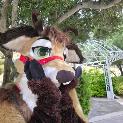 Deer Suiter ❤️ Lewd 🧡 18+ No minors, NSFW SUIT CONTENT💛 DMs 💚 Male / Open 💙 Horny comments welcome 👀💜 DM Me your nudes